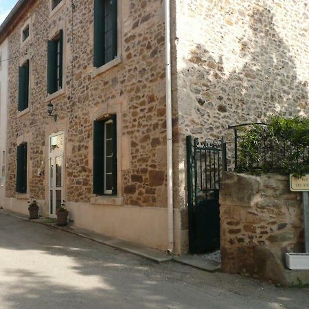 Les Terres Basses Hotel Fabrezan Екстериор снимка